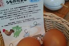 赤坂うまや 新宿