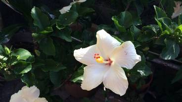 施設からの眺望 / 21