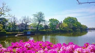 ランド ビュー / 40