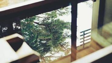 バスルーム / 14