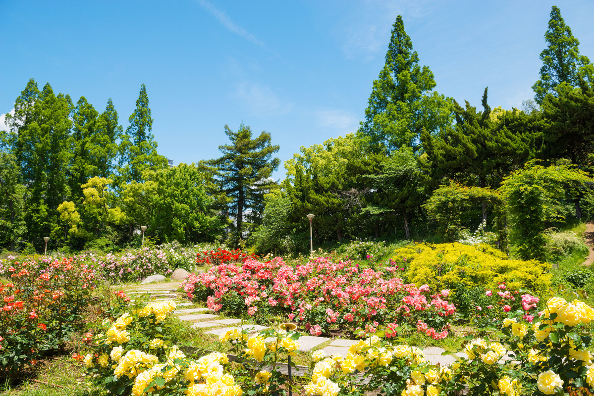 靭公園