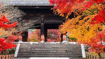 観光スポット / 11