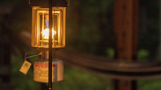 ペット同宿 リビングテラス付 戸建てタイプ3LDKコテージ