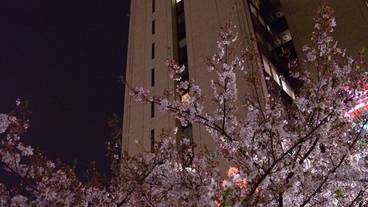 施設の正面 (日没後) / 1