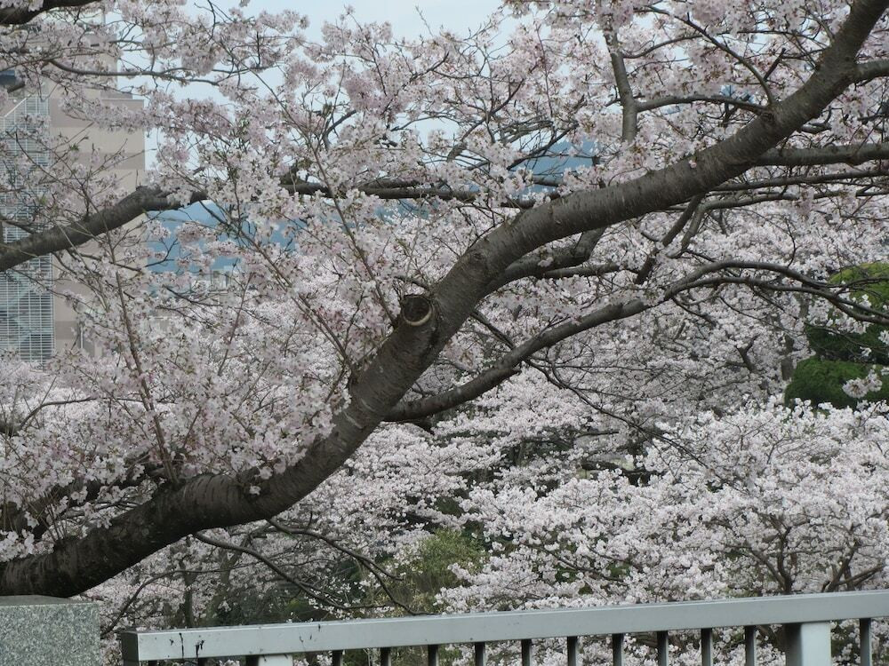 施設からの眺望