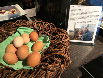 「定山溪鶴雅リゾートスパ森の謌」料理 969038 たまご