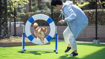 ペット用設備・サービス / 5