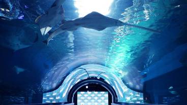 施設内の設備 / 5