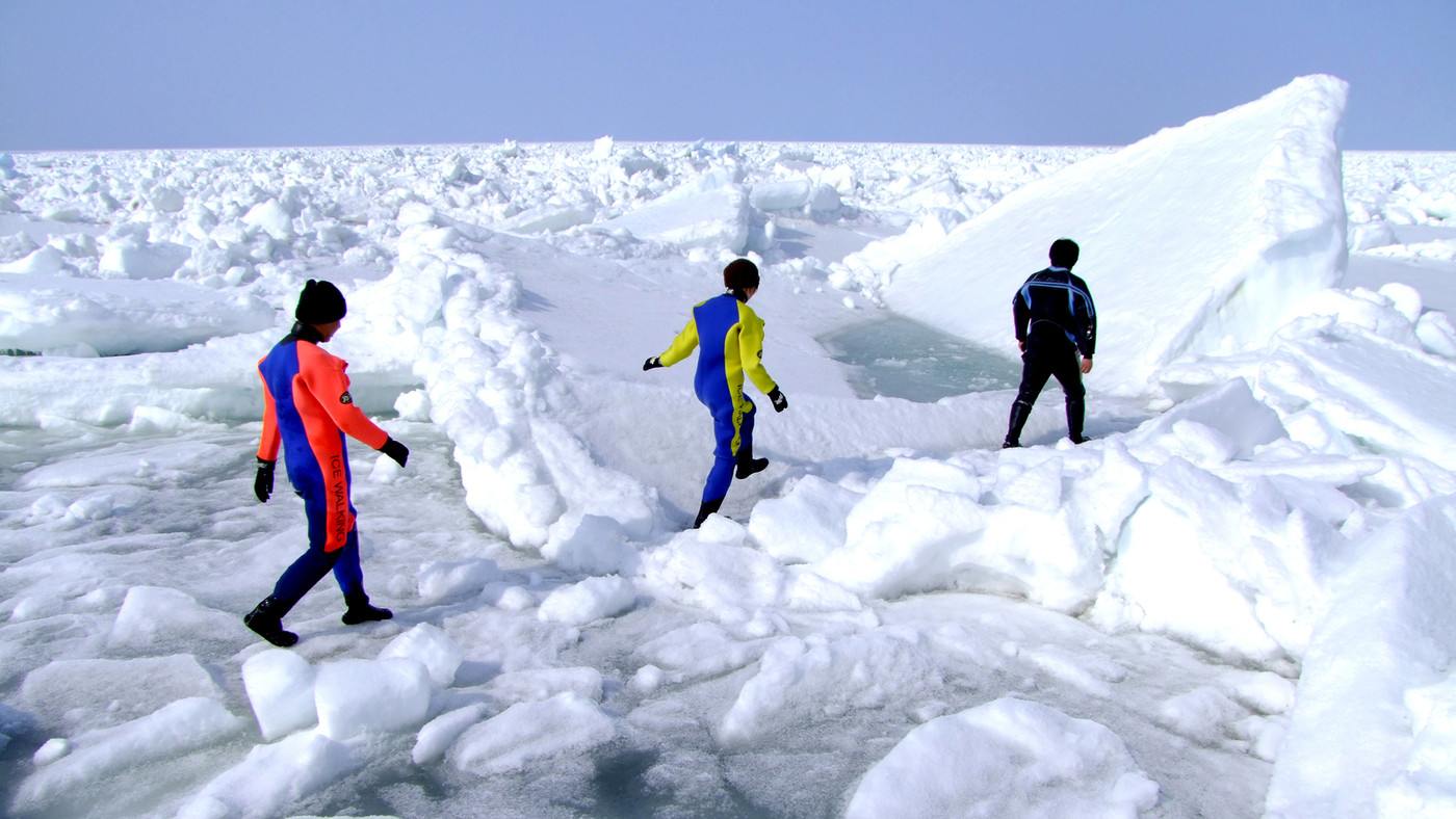 しれとこ村3387297