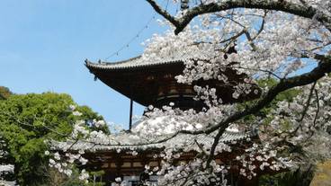 観光スポット / 6