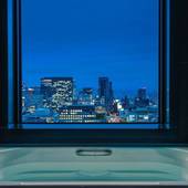 ザ ロイヤルパークホテル アイコニック 大阪御堂筋（大阪府 シティホテル） / 3