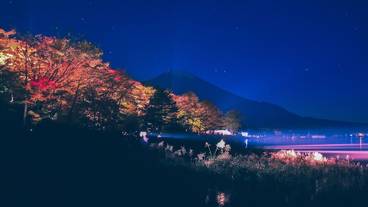 ランド ビュー / 35