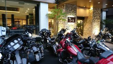 施設の敷地 / 39