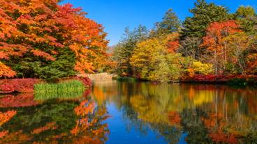 旧軽井沢KIKYOキュリオ・コレクションbyヒルトン（キュウカルイザワキキョウキュリオ・コレクションバイヒルトン） / 1