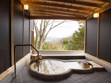 神戸有馬温泉 元湯龍泉閣 赤ちゃんも楽しめるお部屋食の宿 / 3