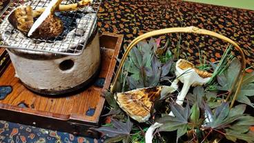 食事・飲み物 / 27