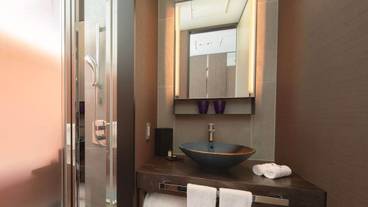 プルマン東京田町（プルマントウキョウタマチ） / 8