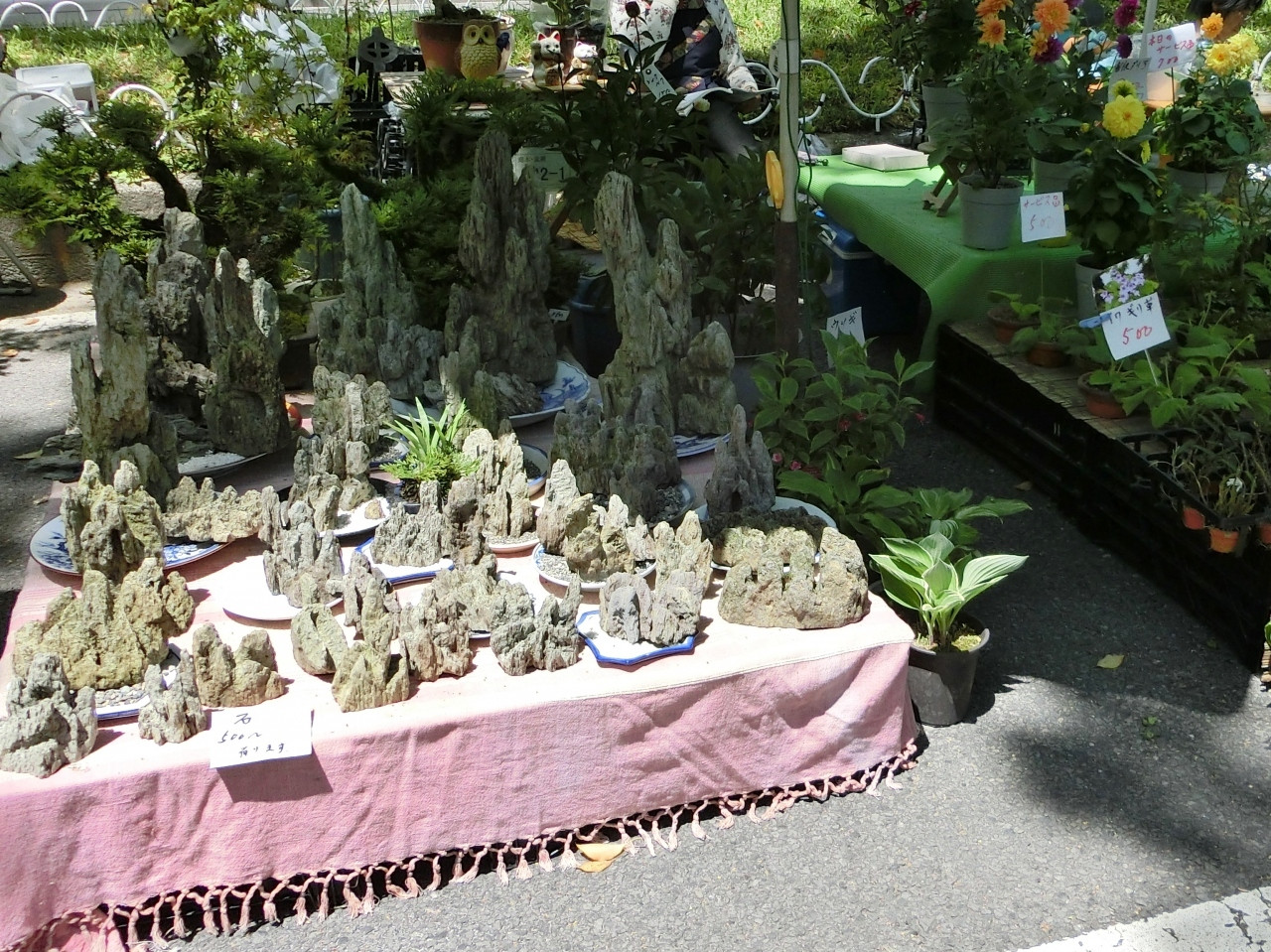 食べ物だけじゃない。お花や園芸用品、雑貨なども販売しています！551585