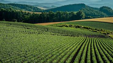 施設からの眺望 / 25