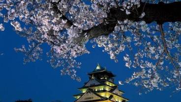 観光スポット / 10