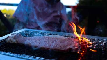 テラス / パティオ / 9