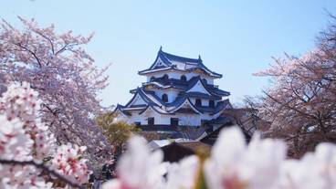 観光スポット / 2