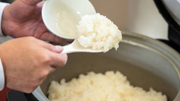 レストラン / 24