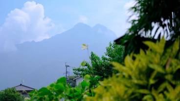 施設からの眺望 / 25