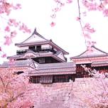 【愛媛】のんびり旅はいかが？女子のひとり旅おすすめスポット7選