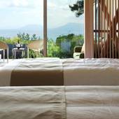 高原の隠れ家 スパ・グリネス(大分県 旅館) / 4