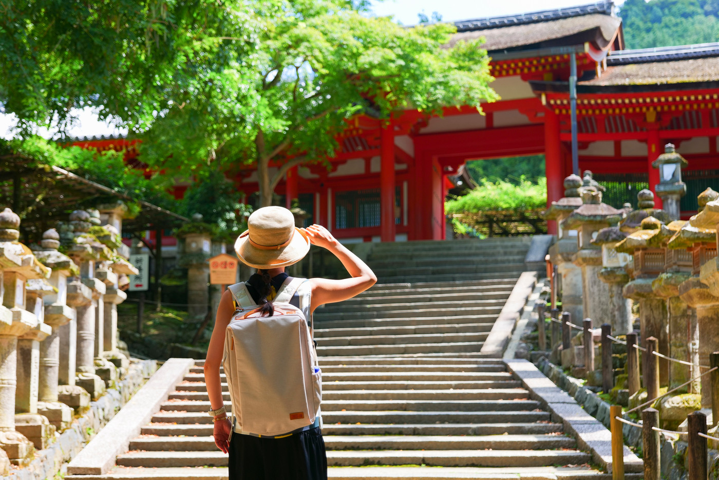 春日大社と旅行者