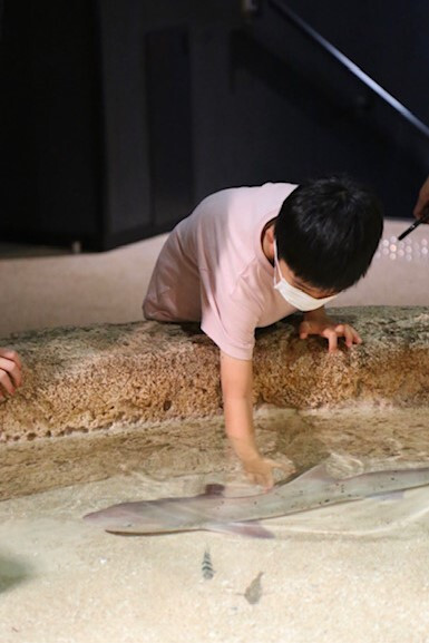 akyeeeee.nさんの写真 / 3