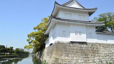 観光スポット / 7