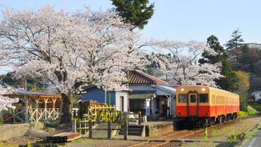 ランド ビュー / 26