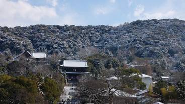 ヒル ビュー / 11