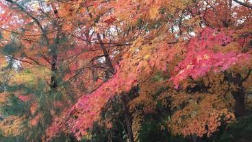 施設の敷地 / 16