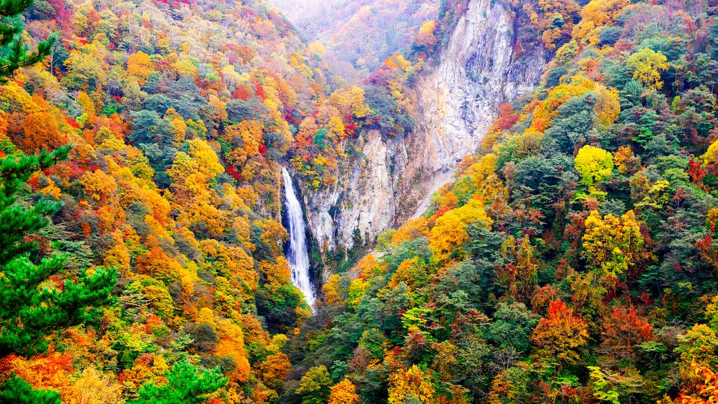 澗満（かんまん）滝展望台の紅葉 / 4