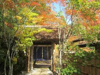 川床から湧き出る自噴泉甌穴岩風呂がスゴイ！4067053