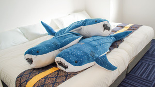 ジャパニーズメゾネットスイート