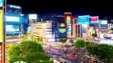 施設からの眺望一例① / 10