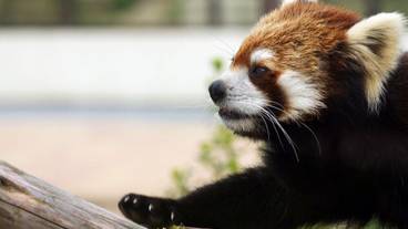 宿泊施設の地図 / 16