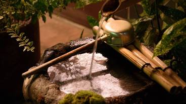 施設の敷地 / 21