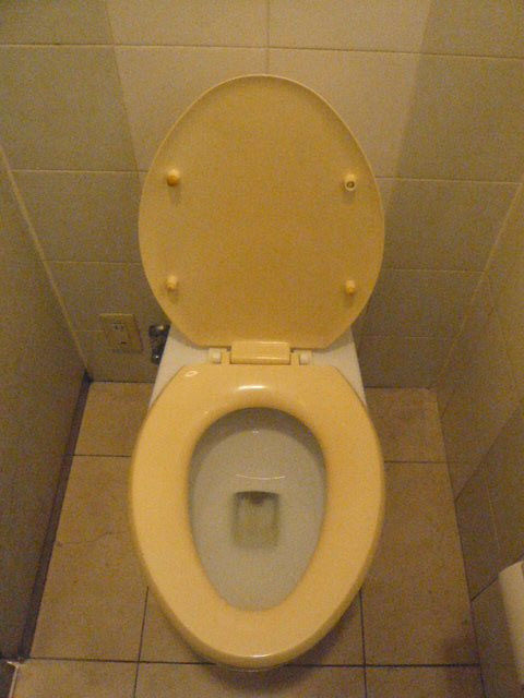 トイレが気になります。旧式で、色違いです。底が変色している