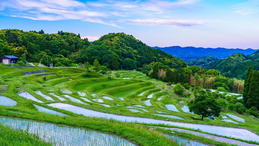 大山千枚田 / 1