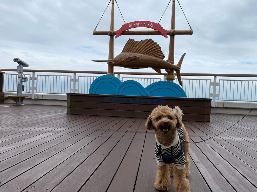 fuutan0130さんの写真 / 1