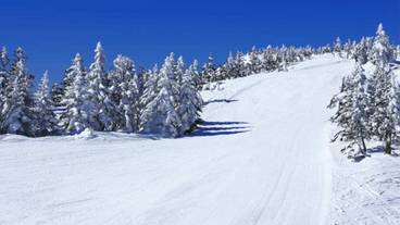 スノー スポーツとスキー / 5