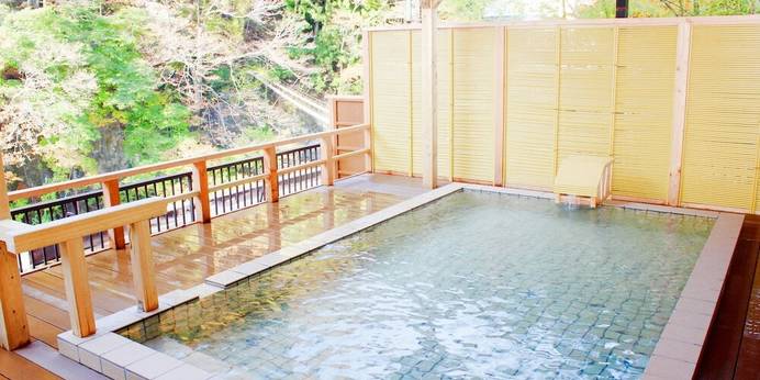 川治温泉 川治一柳閣本館（栃木県 旅館） / 1