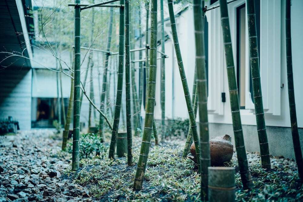 中庭の竹林①
