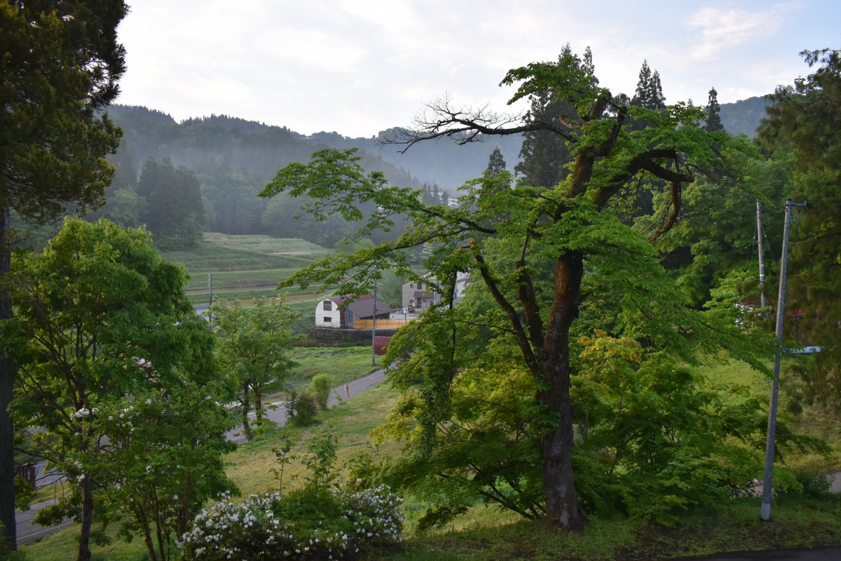 窓からの景色は・・・・・・・・・