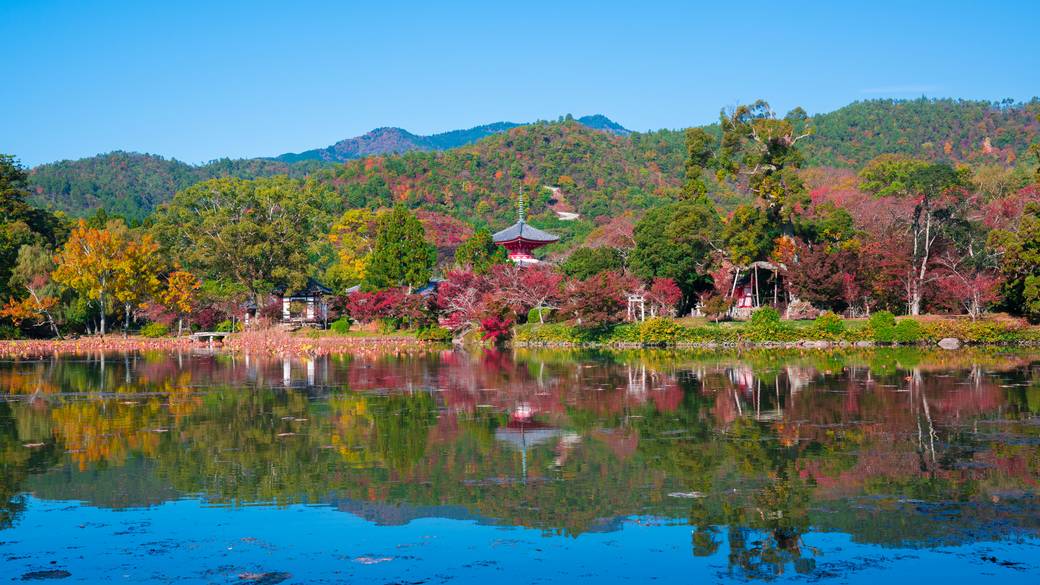 大覚寺 / 1